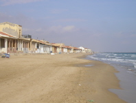 Guardamar beach